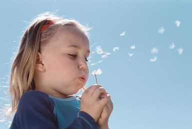 Girl Blowing on a Dandelion --- Image by © Royalty-Free/Corbis