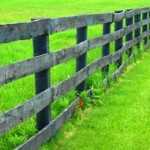 grass greener fence 150x150